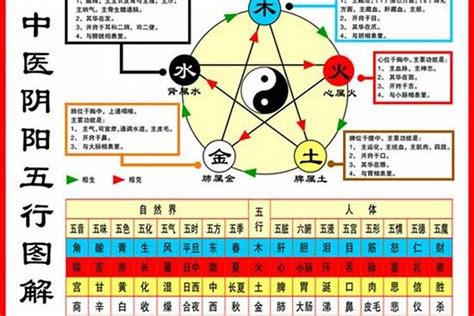 怎樣看自己的五行